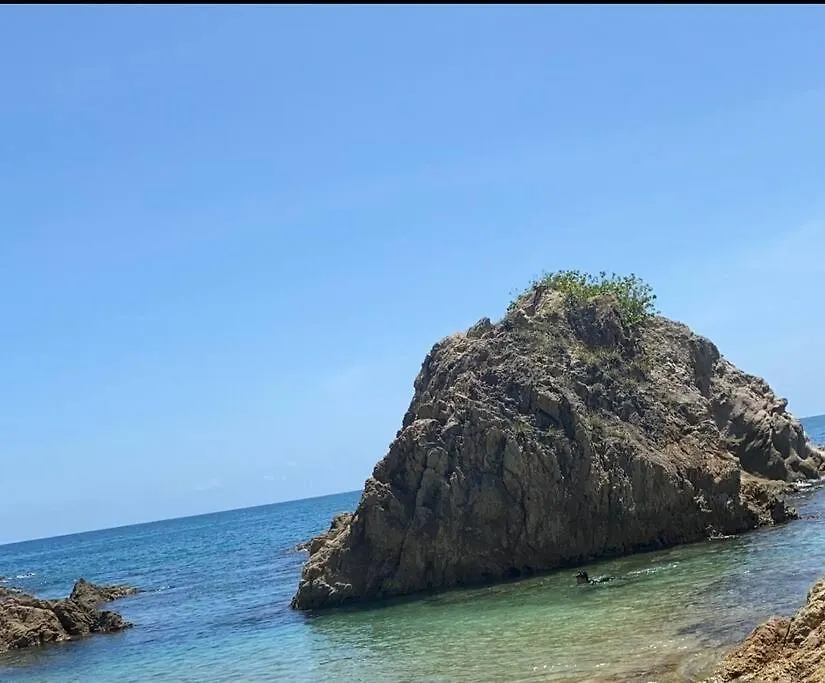 Portobello Palmanova, Palmas Del Mar, Humacao, Pr